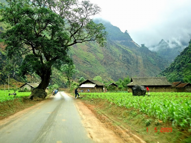 Ha Giang travel information