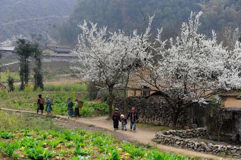 Ha Giang travel tips