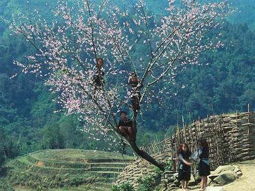 Northern mountainous regions attract photographers