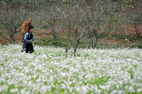PM approves Moc Chau Tourism Zone master plan