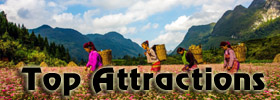 Top Attractions