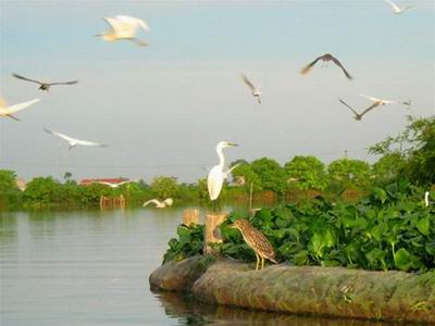 Stork Island listed as national relic