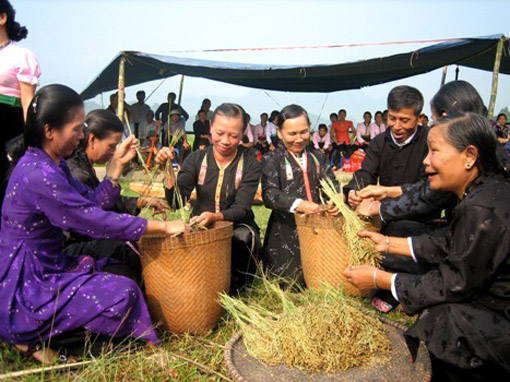Thai people hold New Rice Festival