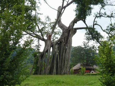 Tuyen Quang gains recognition for cultural heritages