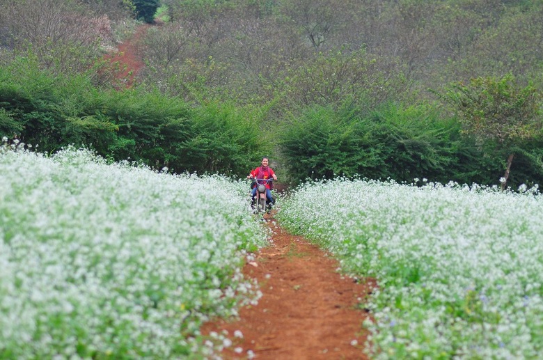 Discover Moc Chau plateau 3 days