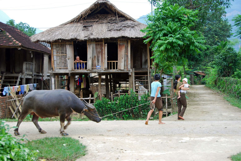 Trekking Mai Chau - Pu Luong 3 days